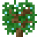 SkyberryBush.png