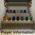 Player information1.jpg