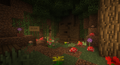 Thumbnail for version as of 20:04, 29 August 2025